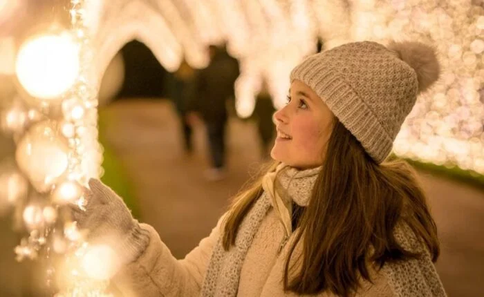 Christmas at Blenheim
