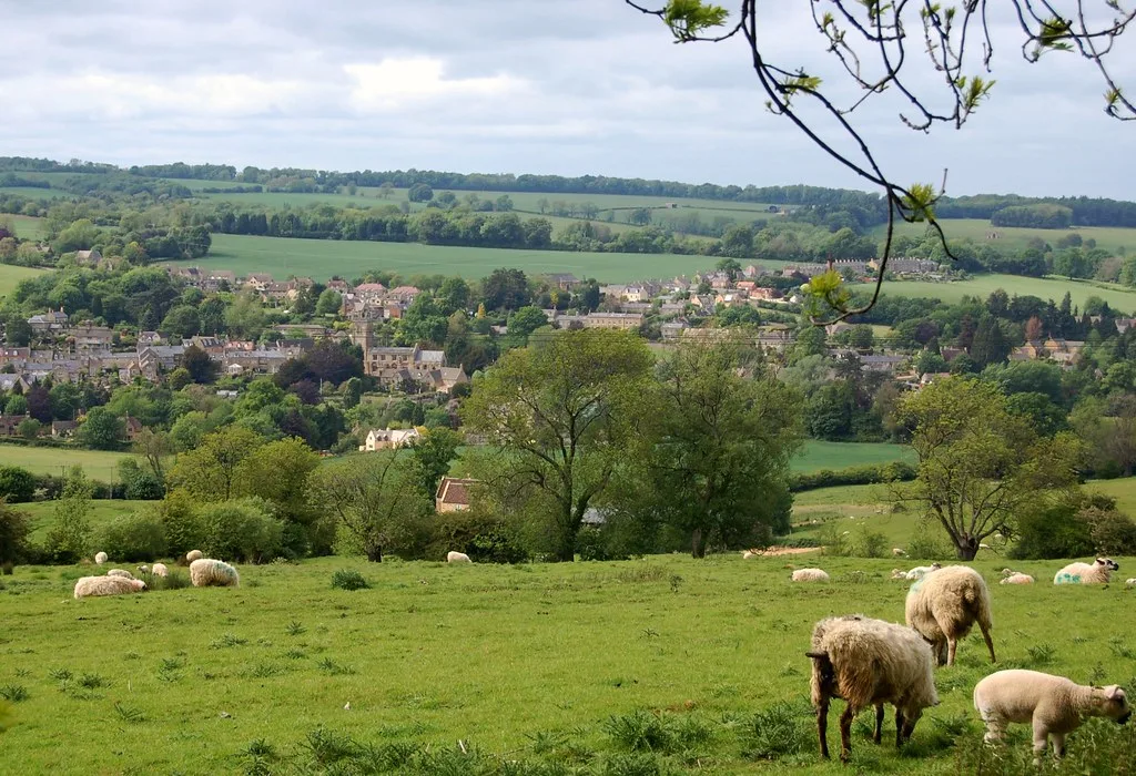 A view of Blockley from a nearby hill, showing sheep in the foreground and the village nestled in the trees.